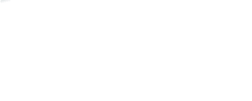 logo-vivaz